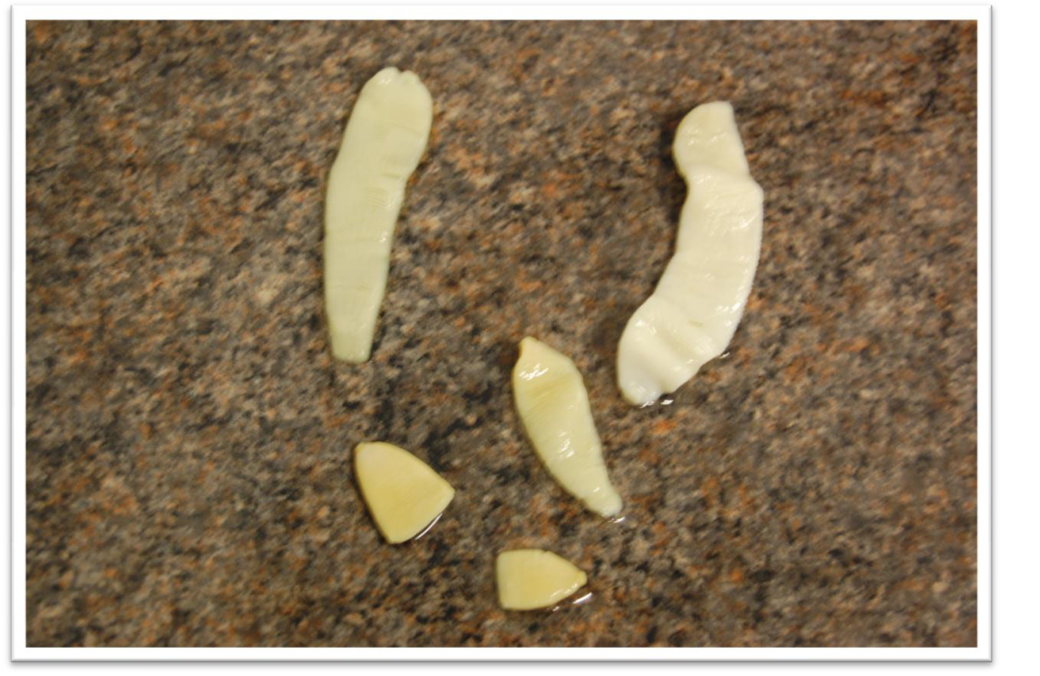 Någon som vet vad detta är? Hälsa Hundar iFokus